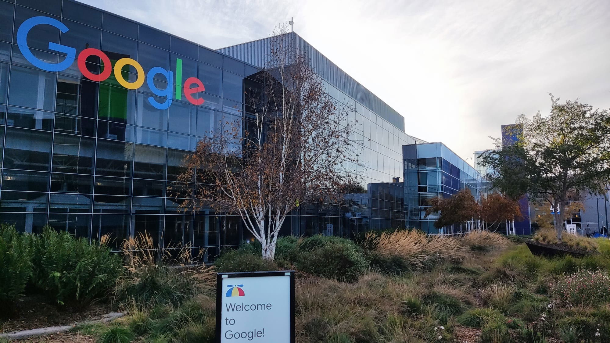 20.11. -25.11.2022 - Silicon Valley