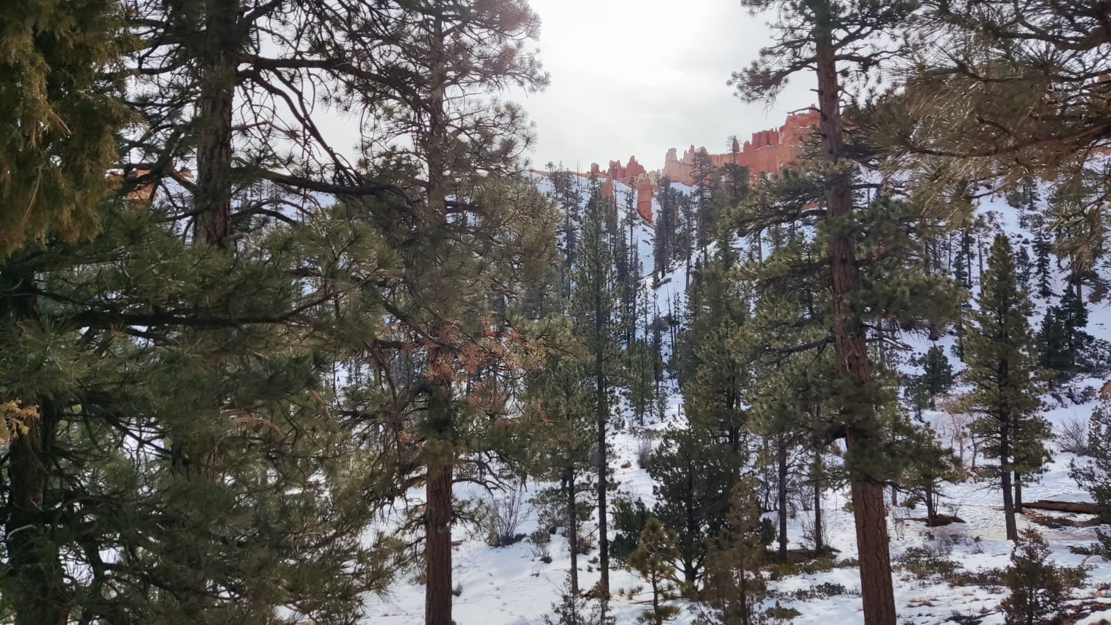 27. - 29.12. - Outdoor