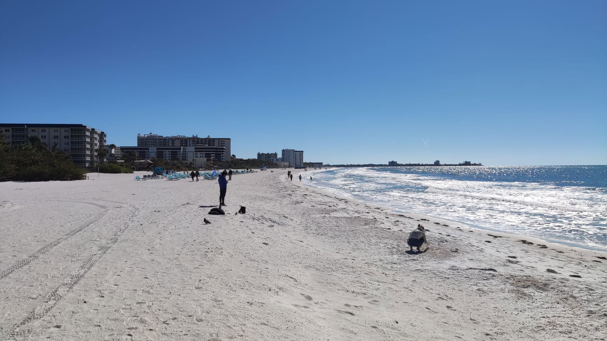 14. - 15.01. - Peter Zwegat auf Kurzwahl