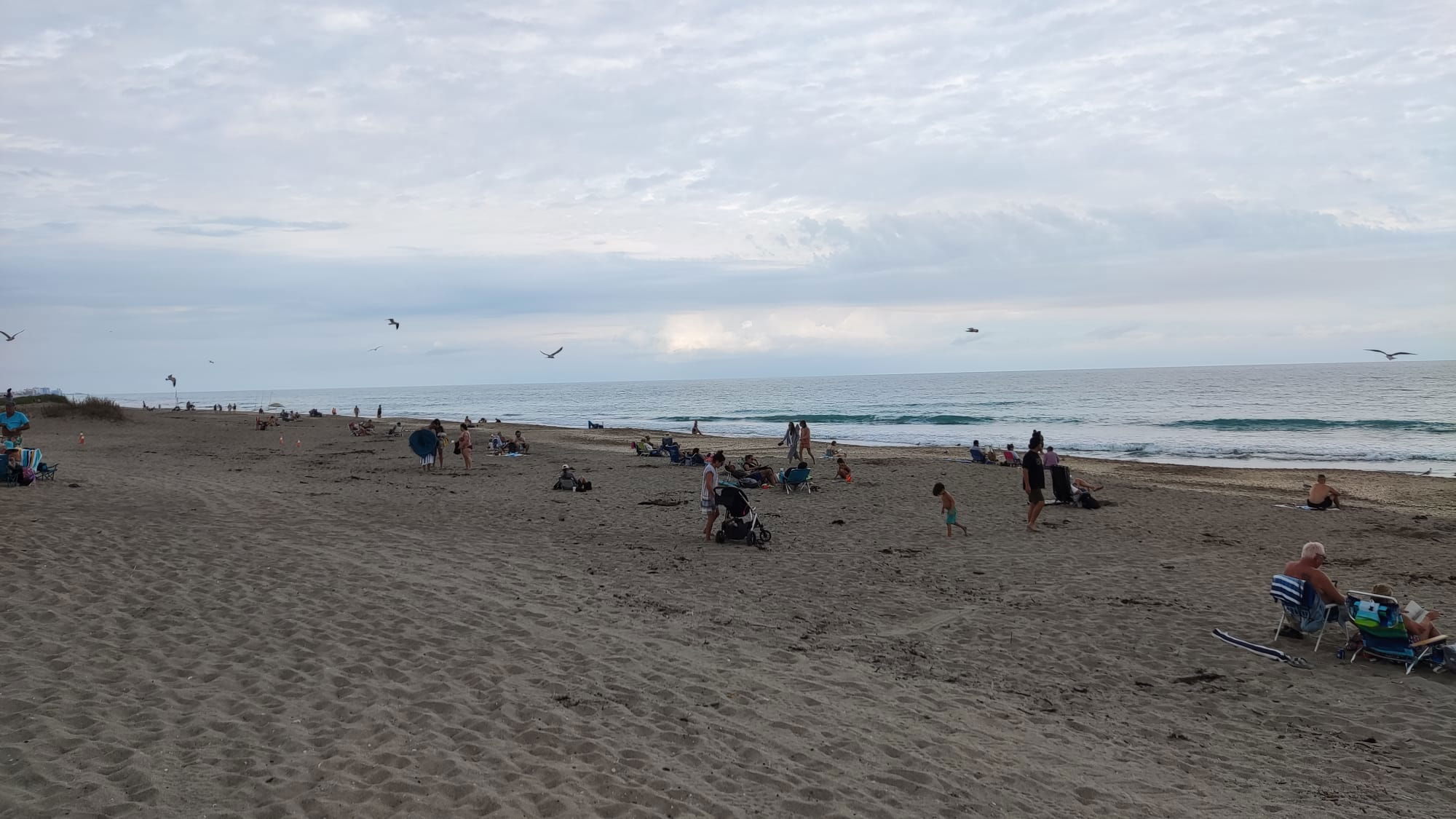 18 - 21.01. - Alle ausrotten