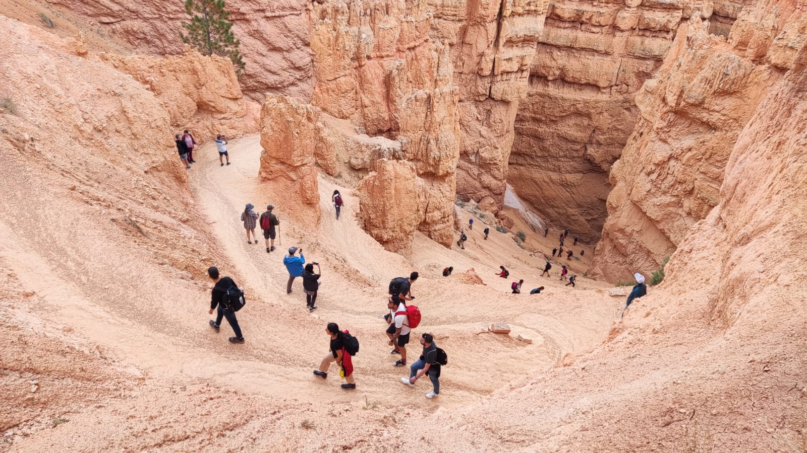 036443df62afac813e2b70c5db5513a3/image