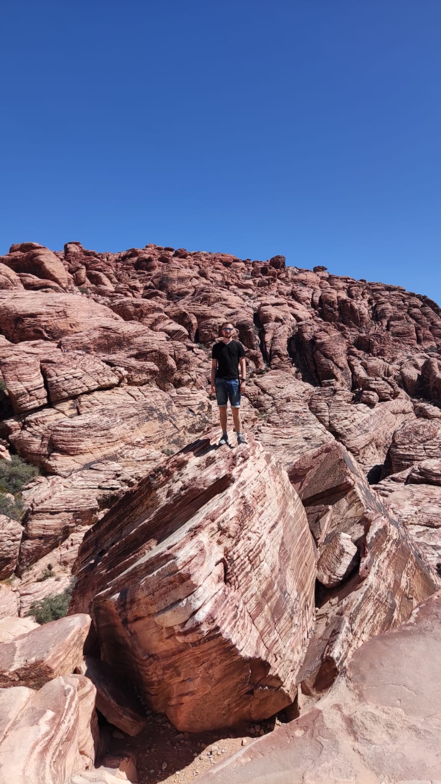 326bb31392ba21df407537833de89518/image