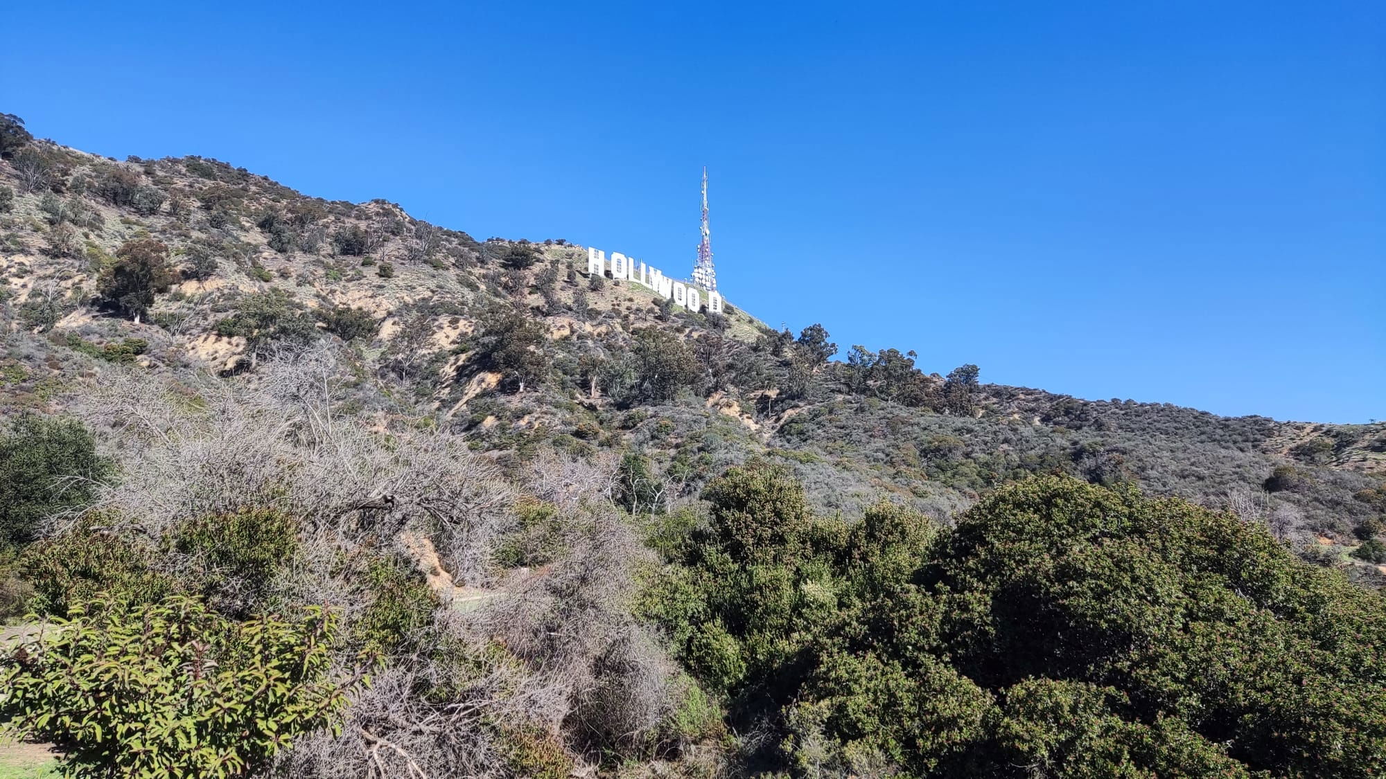 62e870dd3c4cb5dc84688c007916861b/WhatsApp-Image-2023-01-10-at-00-13-56-1-