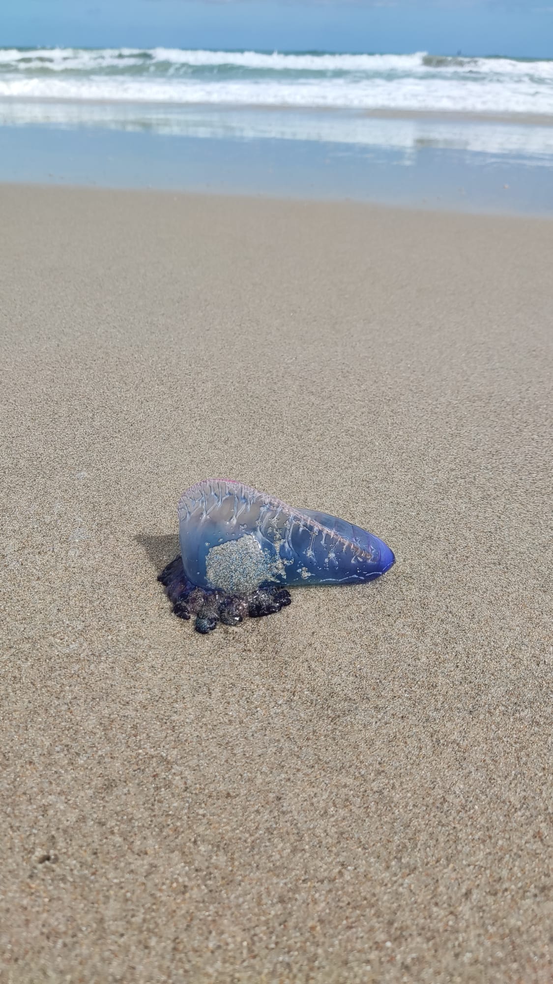 832397fc7591a740c6138b67174b00e9/WhatsApp-Image-2023-02-09-at-14-17-22