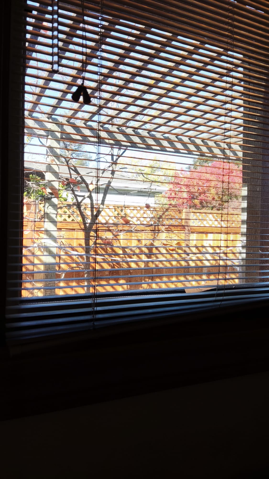 980a8b41fb61bc8c87b6f2bbaed542c1/WhatsApp-Image-2022-11-20-at-19-37-50