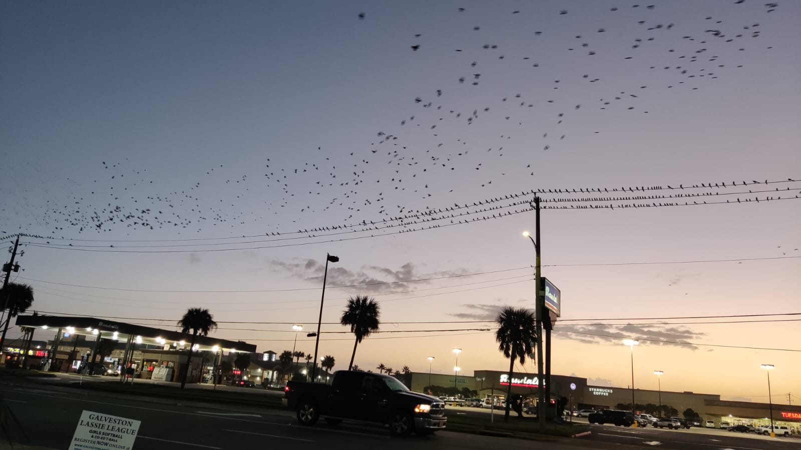 ab22ce72a58153cd7657cb73a062059f/WhatsApp-Image-2023-01-10-at-00-16-38-3-