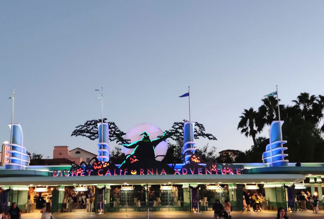 ad1488c4d23eb532e2a514cf1b9a65ba/image