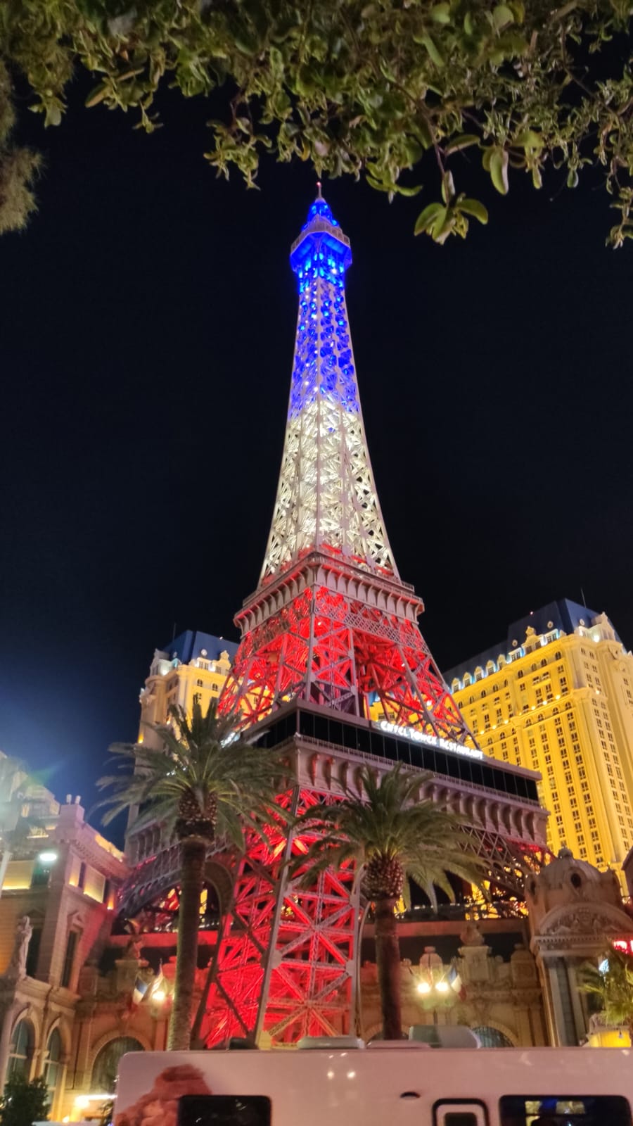 d4d746d56c5f0c7c3cb2e7ade3d106d9/image