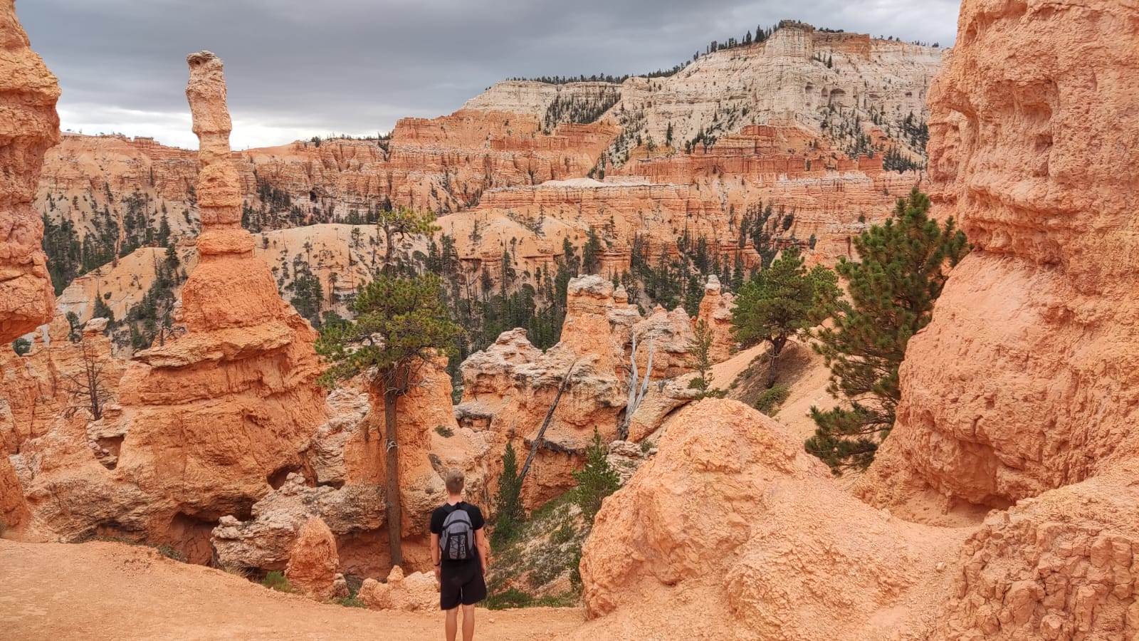 fb1c9e78922a609fb2a2abd08d47adc1/image