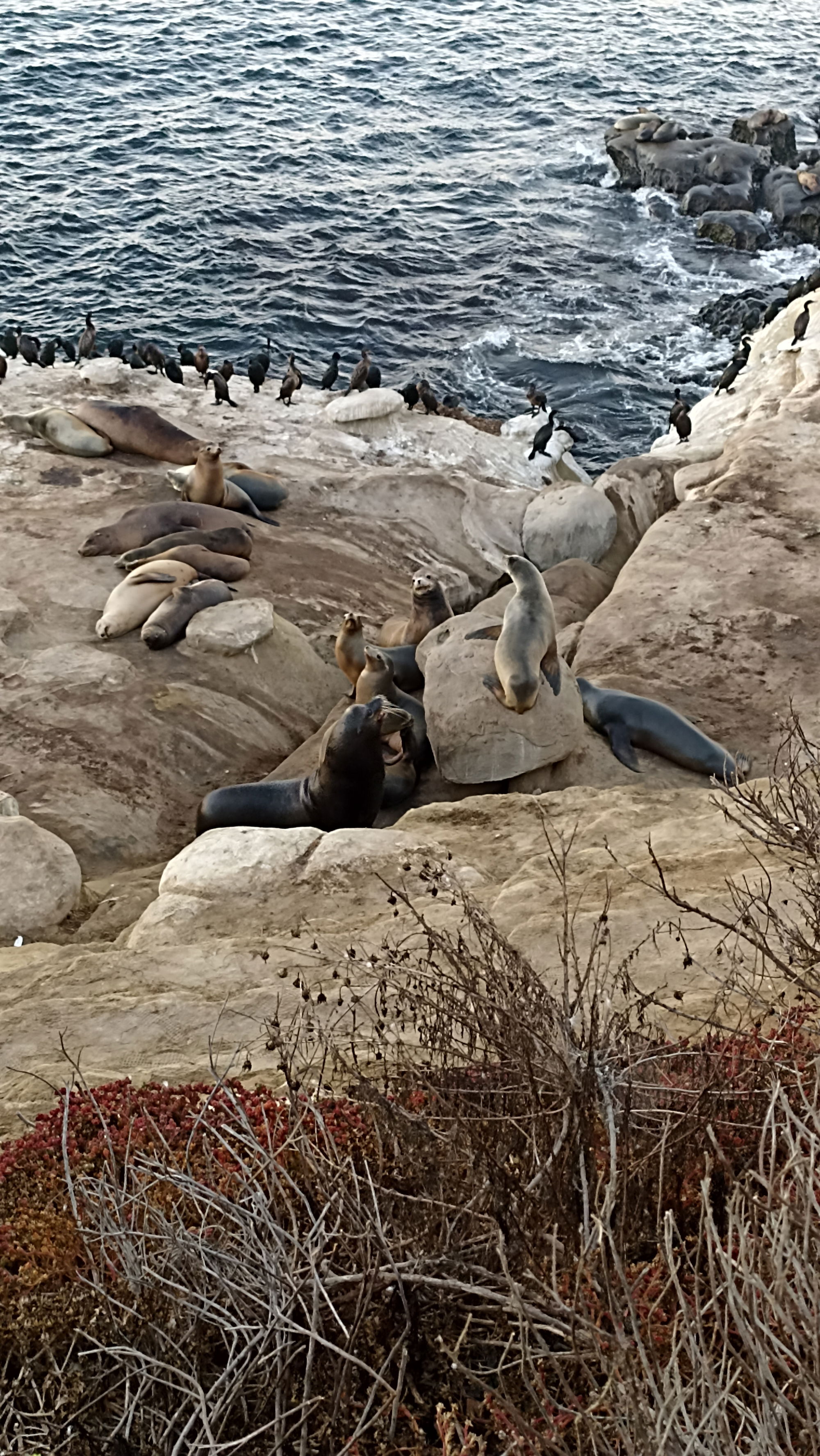 fce54236242079067f2df501cf331f61/image